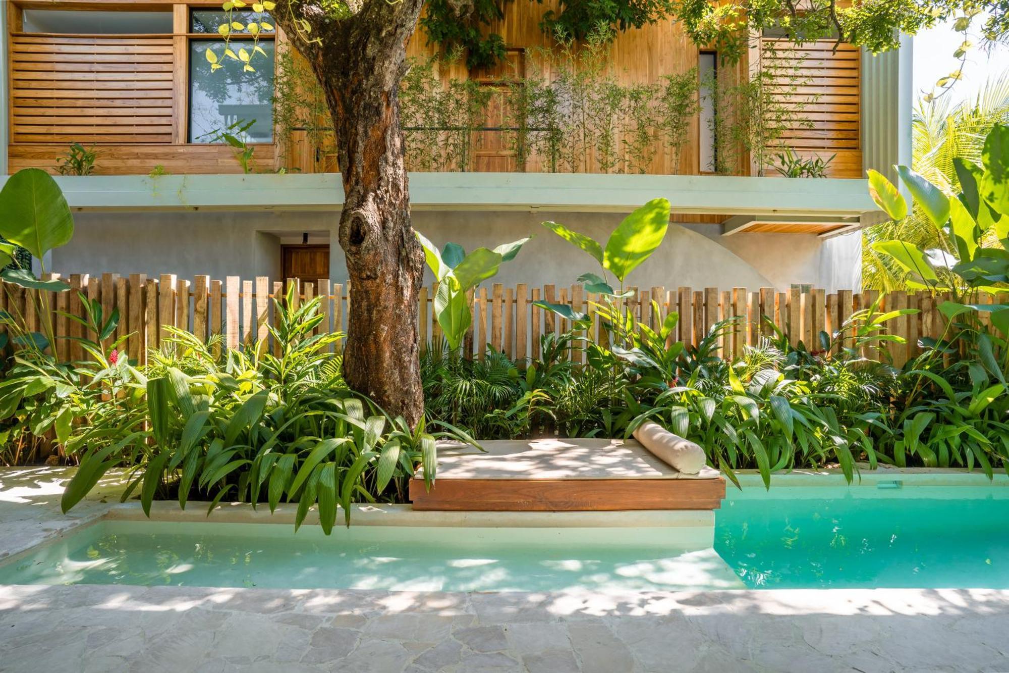 Botanika Suites Playa Santa Teresa  Esterno foto